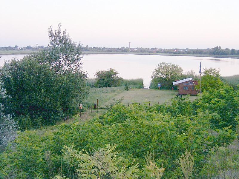2010.07.08. 032.jpg